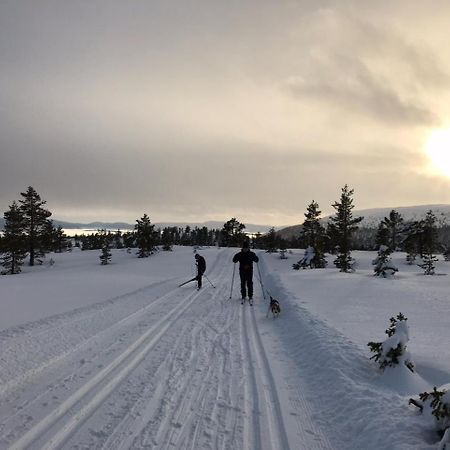 Hytta Pa Oyfjell Villa Luaran gambar