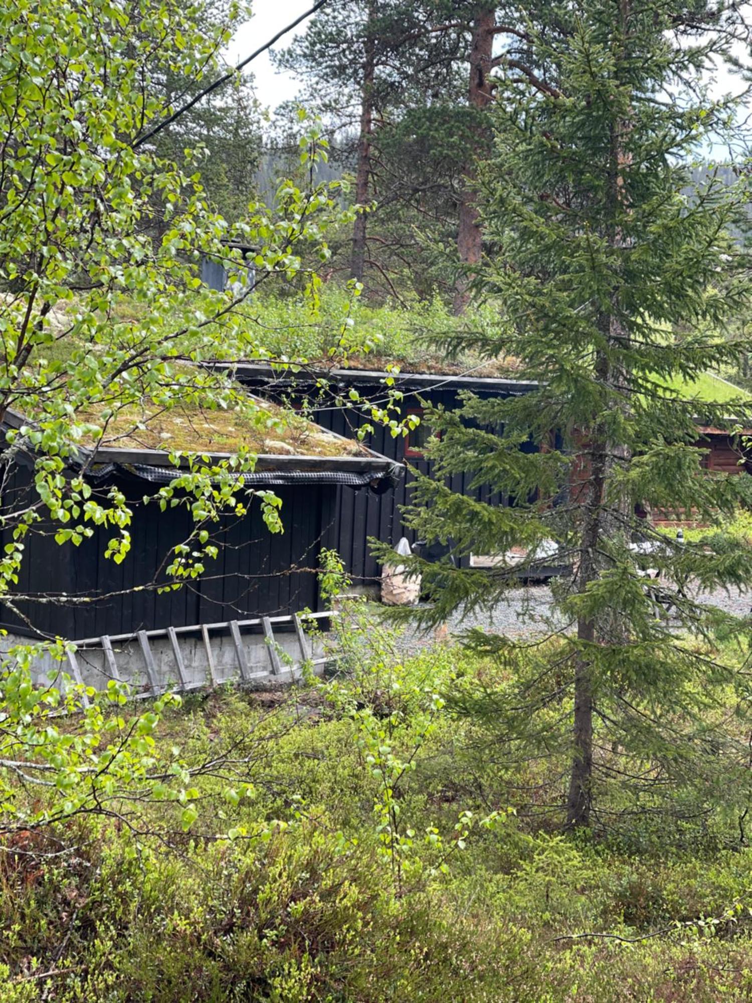 Hytta Pa Oyfjell Villa Luaran gambar