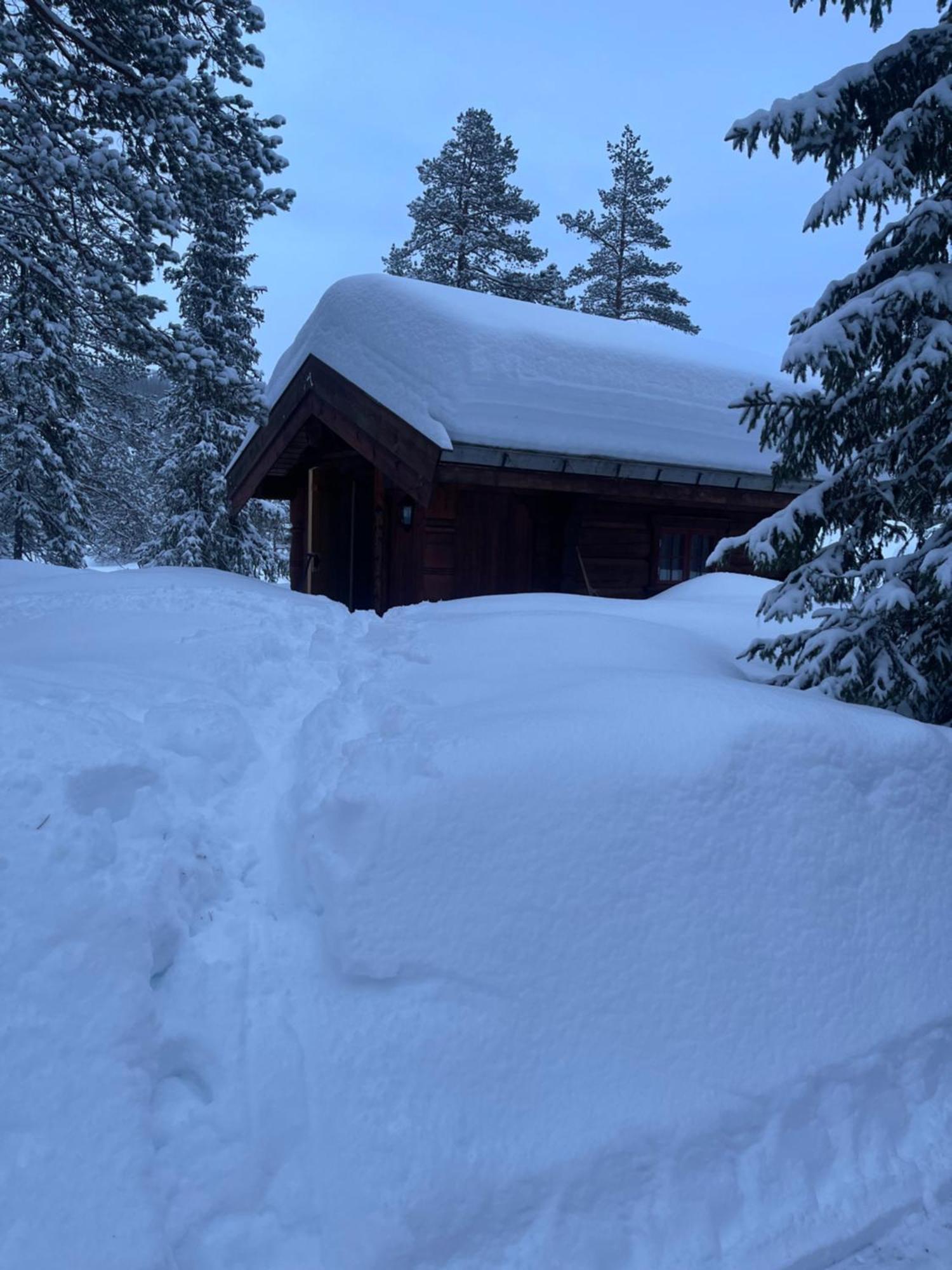 Hytta Pa Oyfjell Villa Luaran gambar