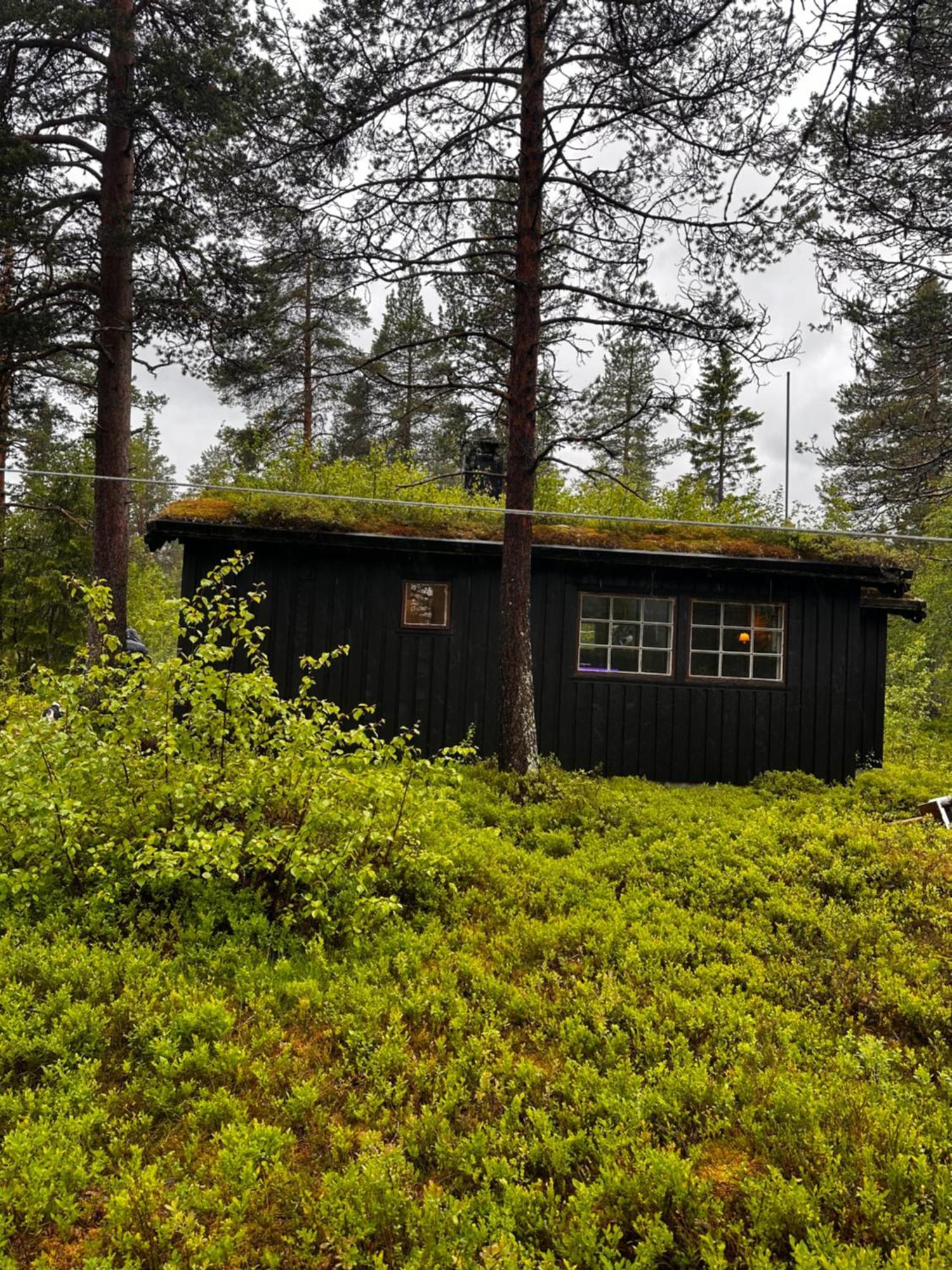 Hytta Pa Oyfjell Villa Luaran gambar