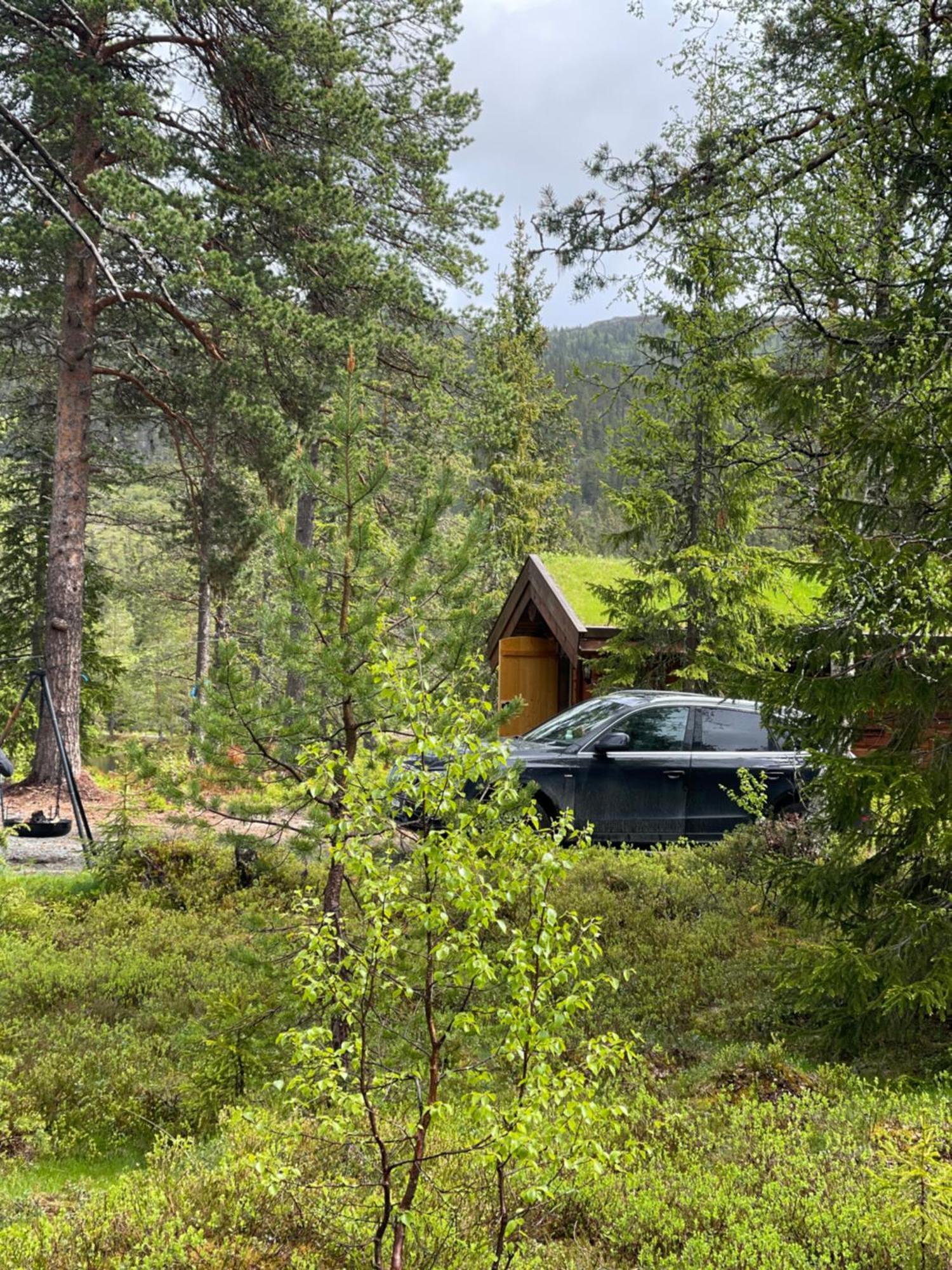 Hytta Pa Oyfjell Villa Luaran gambar
