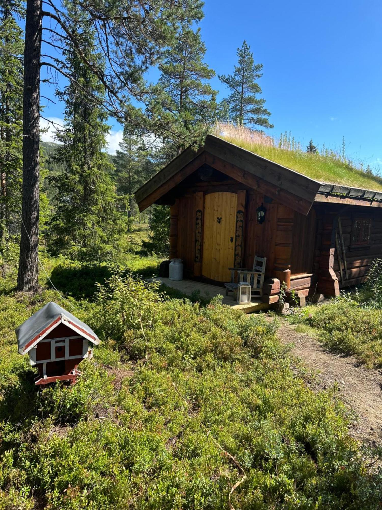 Hytta Pa Oyfjell Villa Luaran gambar
