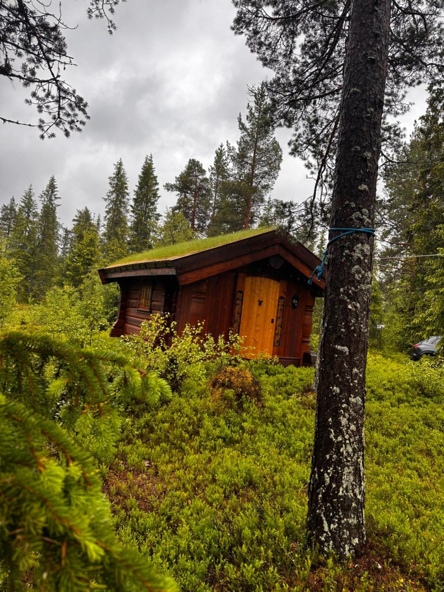 Hytta Pa Oyfjell Villa Luaran gambar