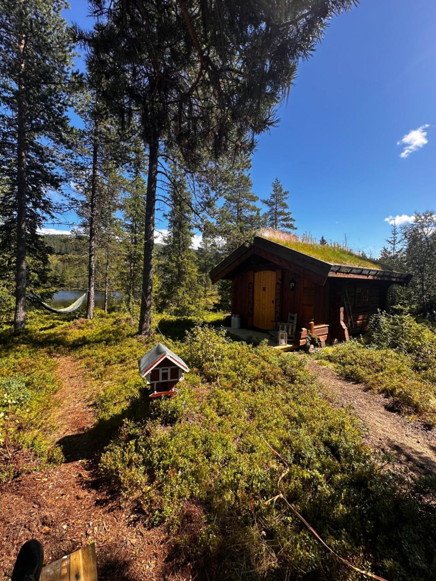 Hytta Pa Oyfjell Villa Luaran gambar
