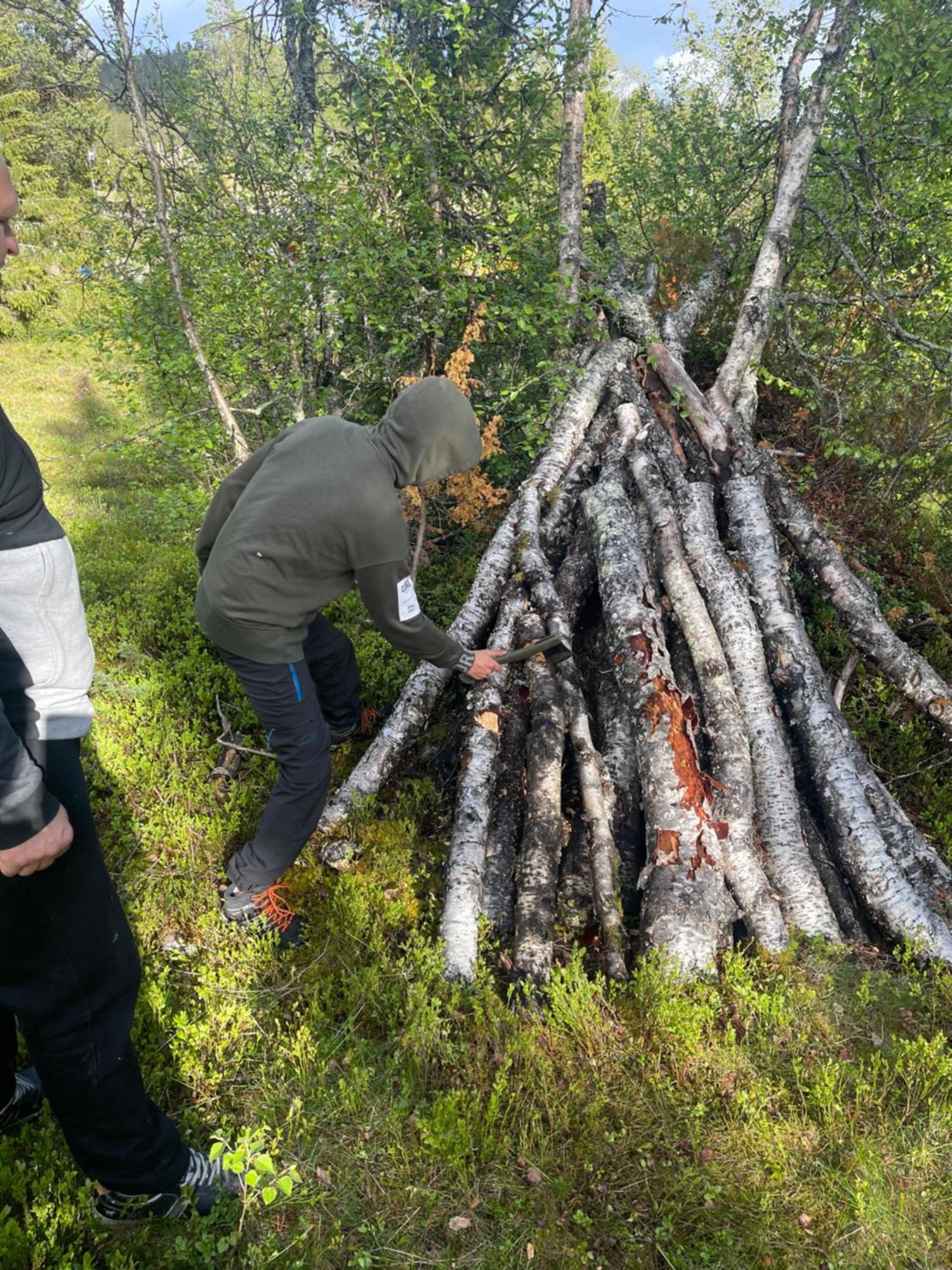 Hytta Pa Oyfjell Villa Luaran gambar