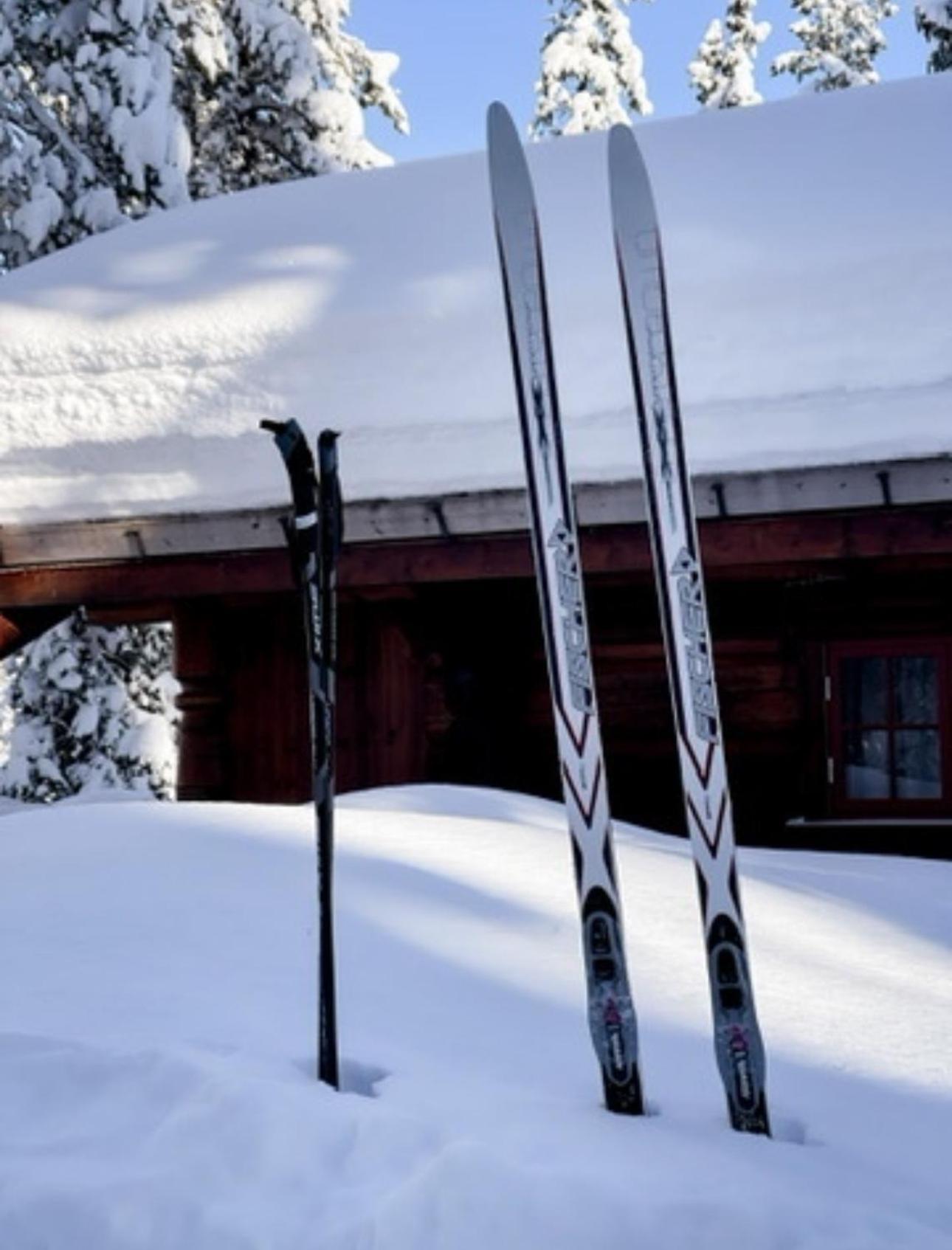 Hytta Pa Oyfjell Villa Luaran gambar